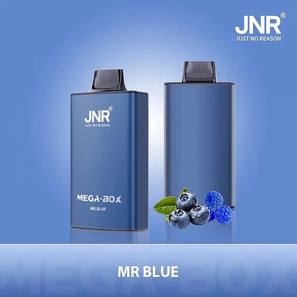 A blue vaping device labeled "JNR MEGA BOX MR BLUE" with blueberries and raspberries.