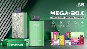 A green vaping device labeled "MEGA·BOX" with features listed, including 25,000 puffs, dual mesh coil, 850mAh battery, 30ml e-liquid, and Type-C charging, displayed alongside its packaging.